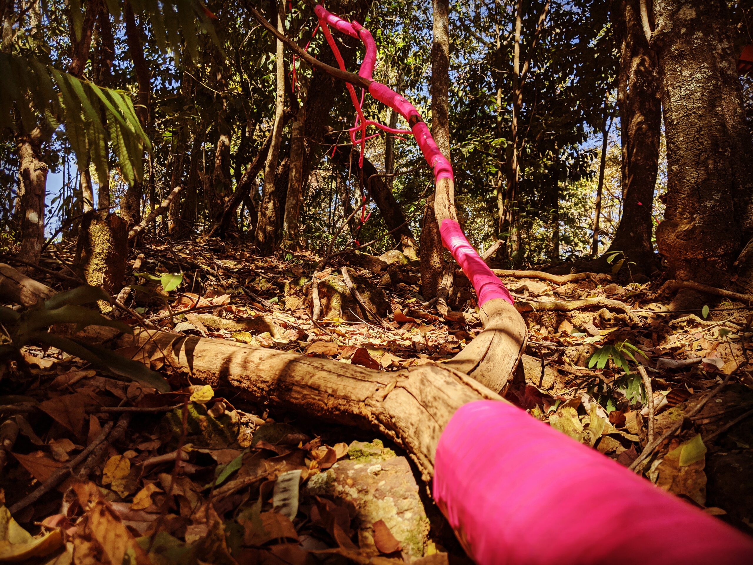 IMG_20200913_151731_817