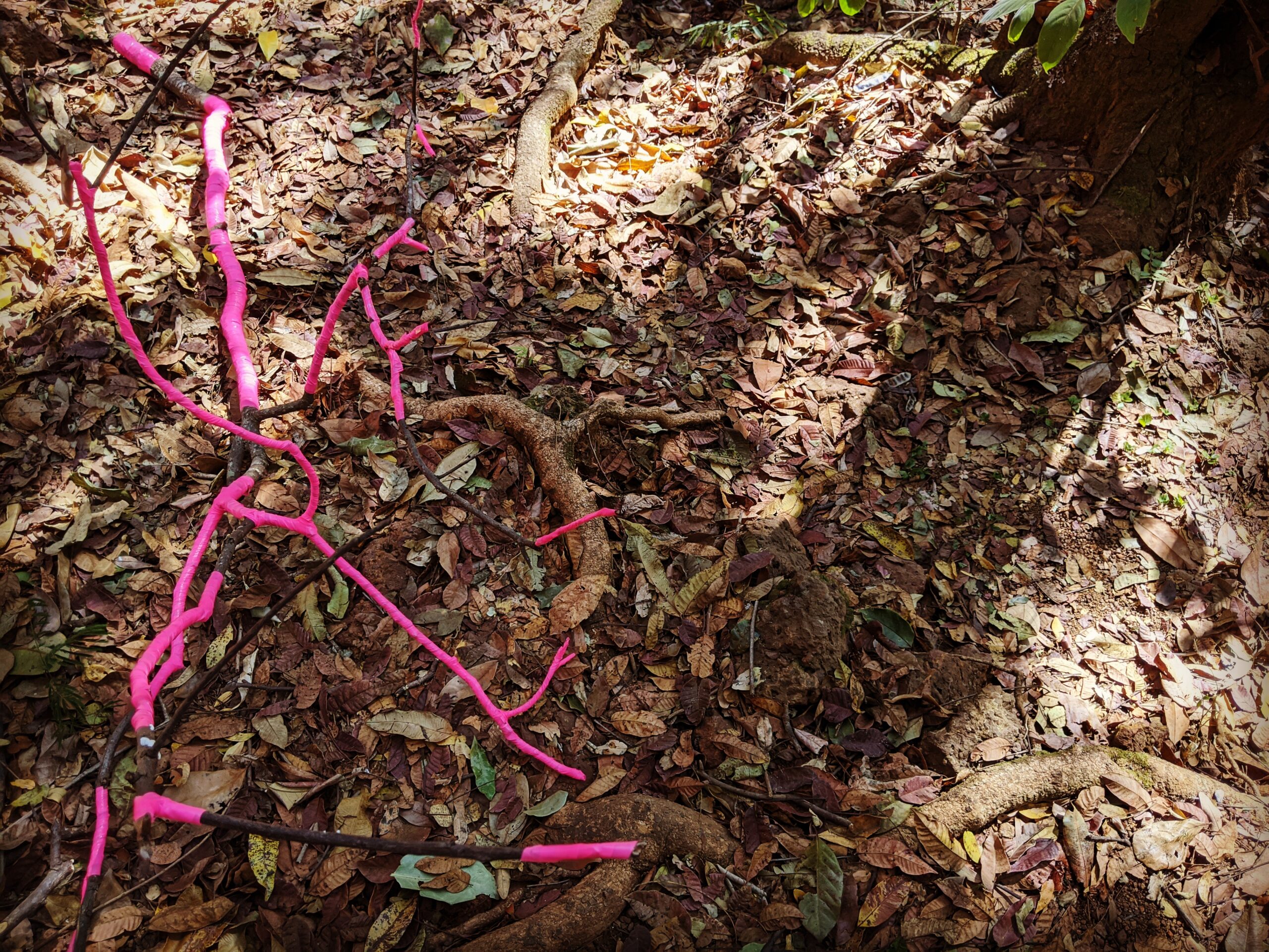 IMG_20200913_151825_425