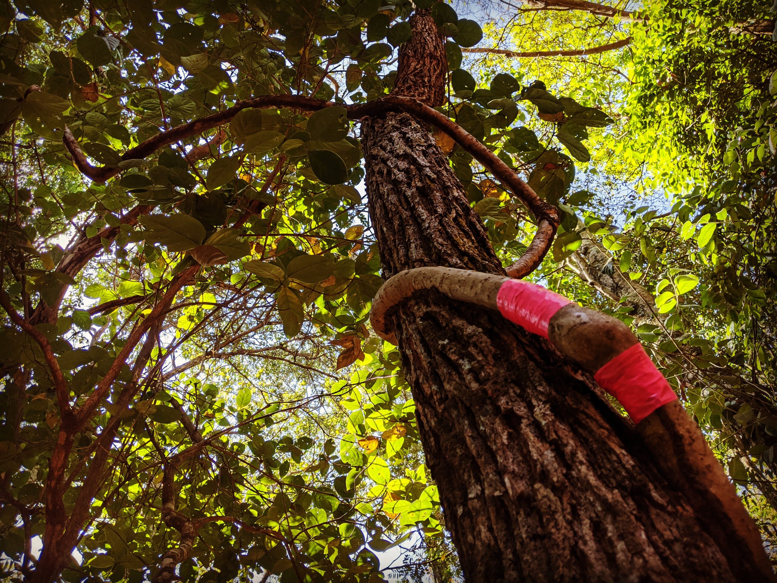 IMG_20200913_151933_312