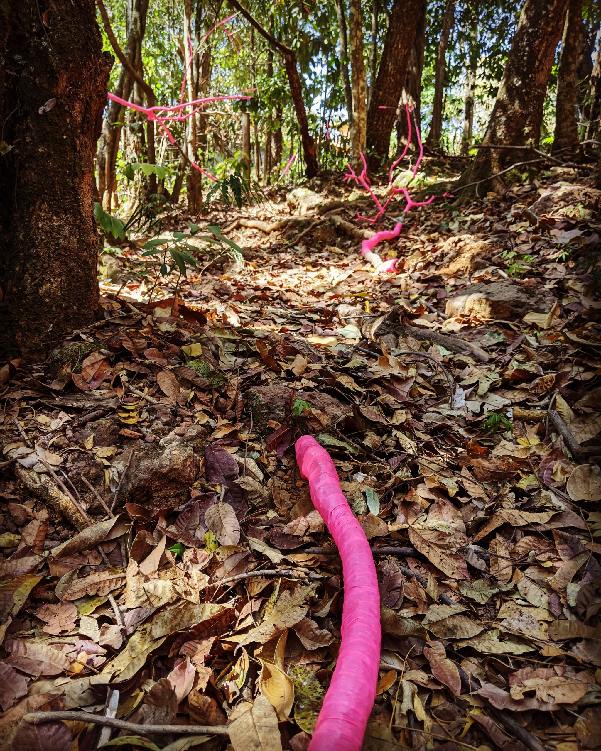 IMG_20200913_152033_193