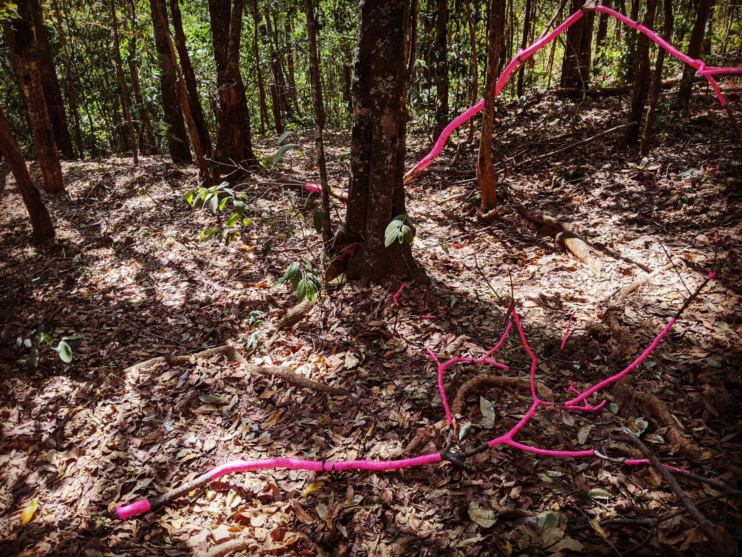 IMG_20200913_152224_809