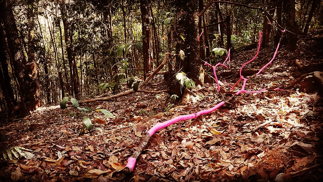 IMG_20200913_152810_290