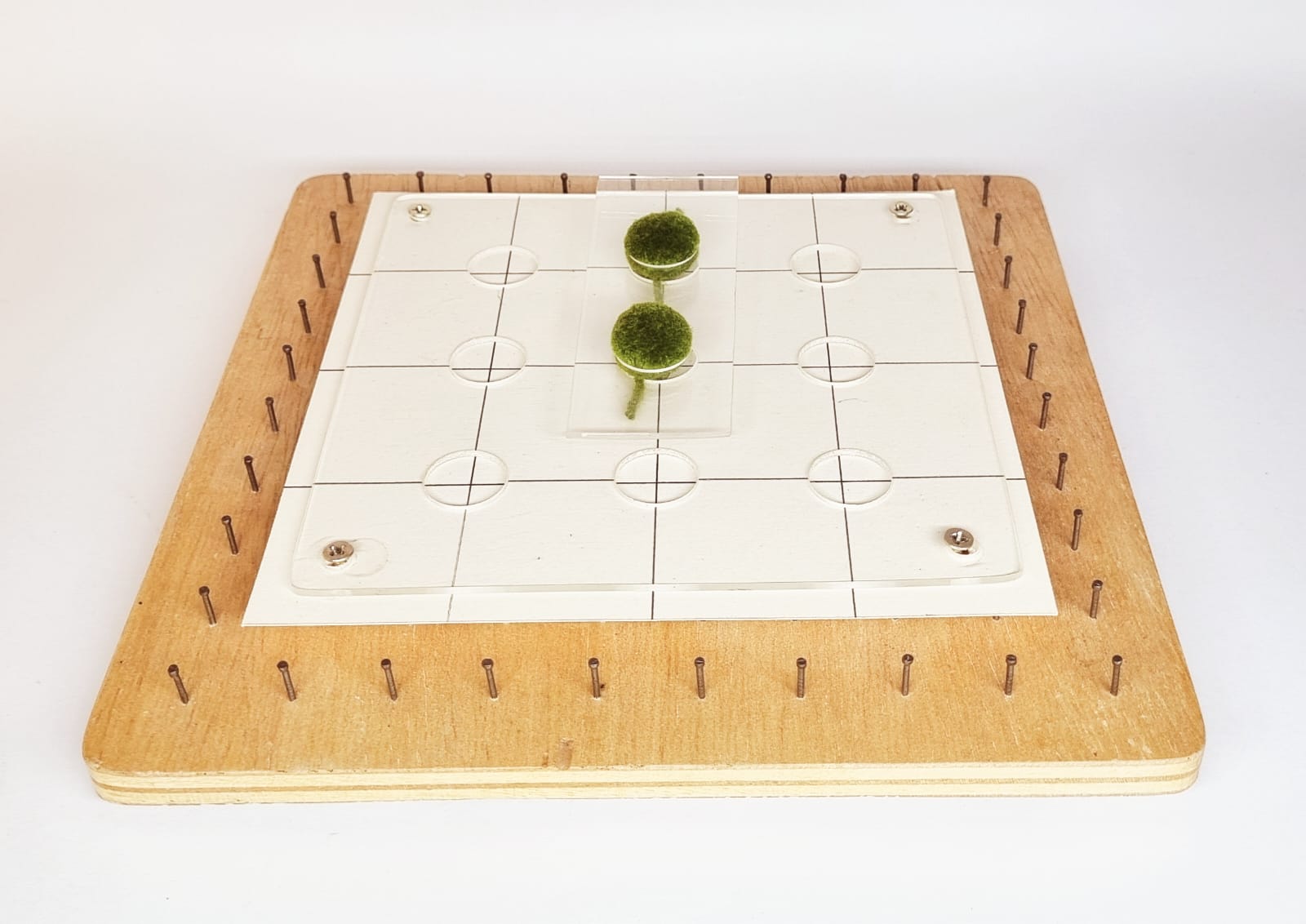 WhatsApp Image 2025-03-19 2387912