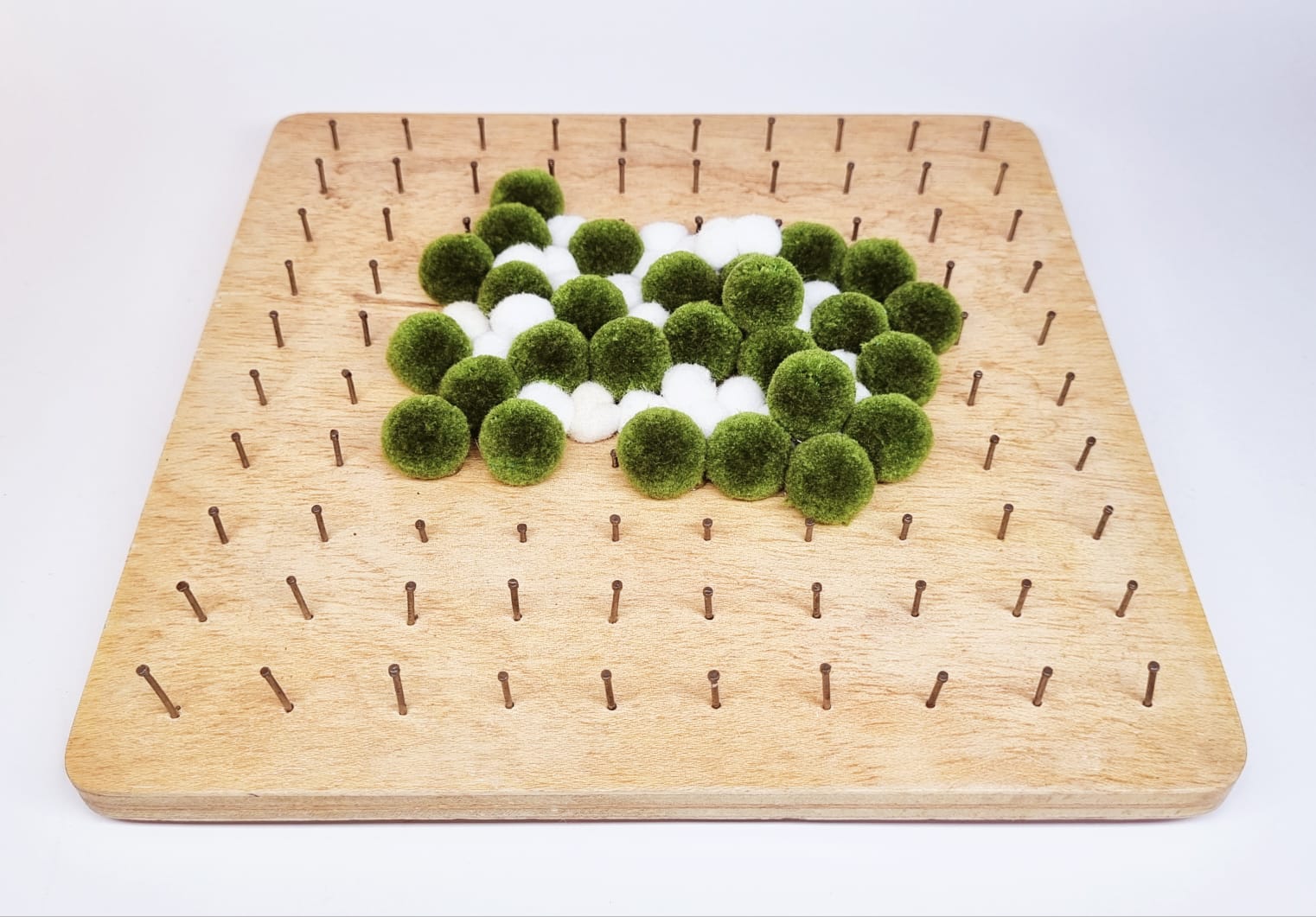 WhatsApp Image 2025-03-19 at dlskjdlkajdlksa5