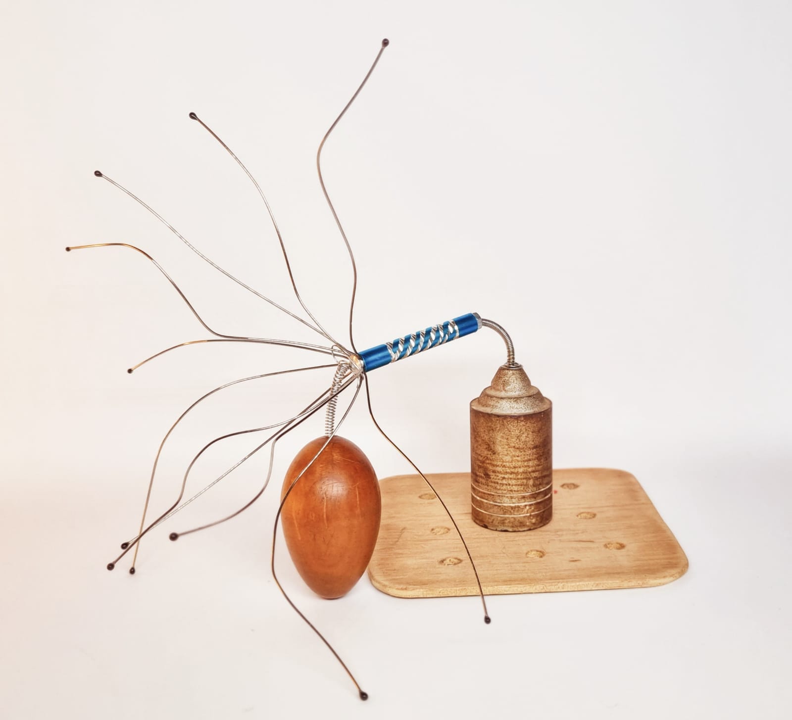 WhatsApp Image 2025-034