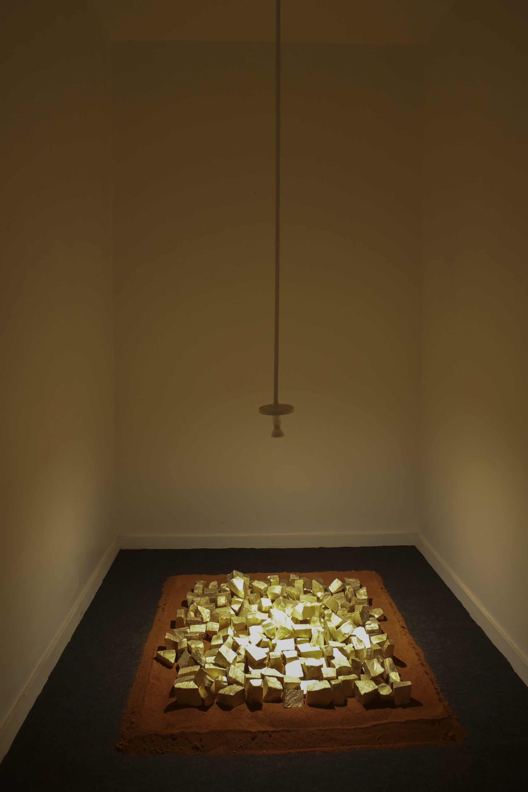 Foto: Humberto Araujo